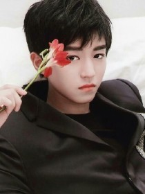 风从云全部小说_风从云